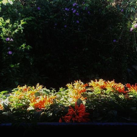 Dalat Inn Homestay Buitenkant foto