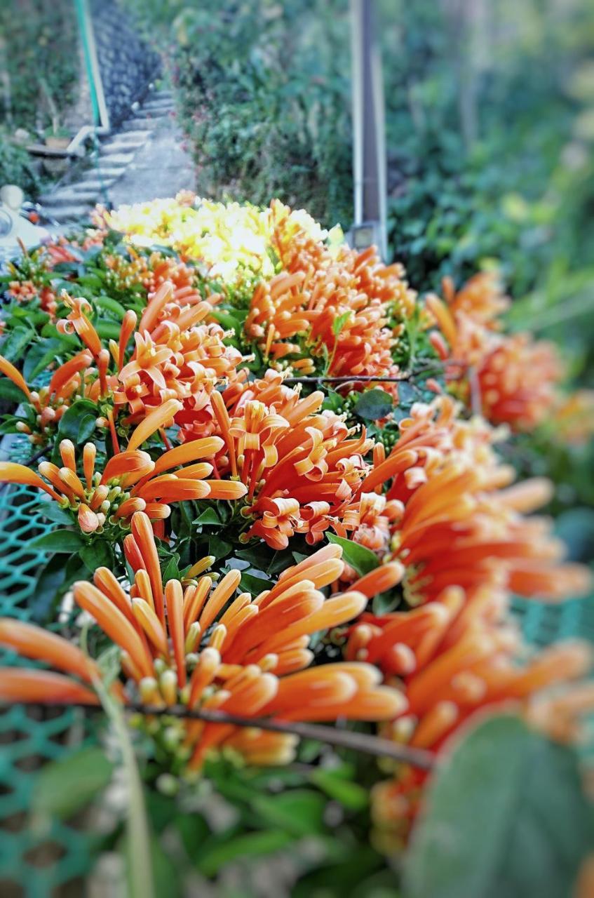 Dalat Inn Homestay Buitenkant foto