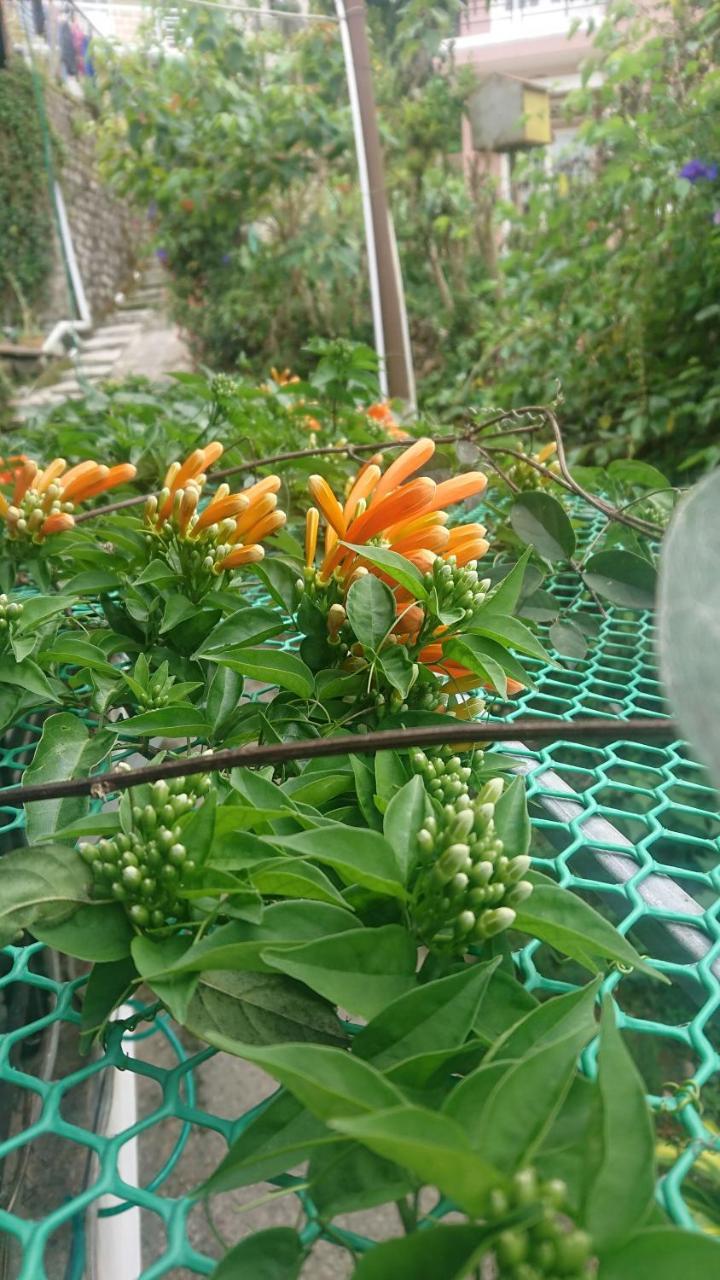 Dalat Inn Homestay Buitenkant foto