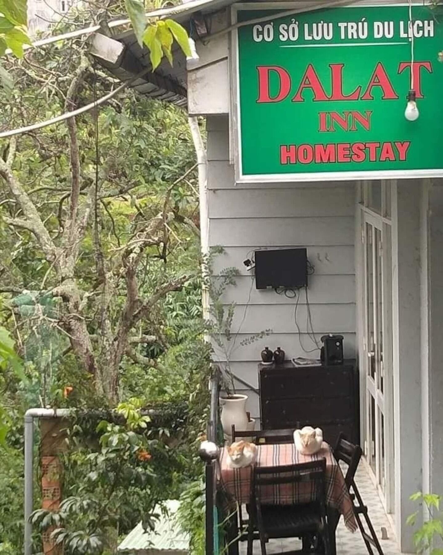 Dalat Inn Homestay Buitenkant foto